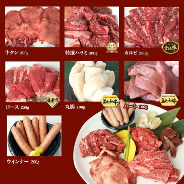 送料無料 大人も子供も嬉しい 焼肉セット 計1.3kg 4〜5人前 ファミリー A4等級 和牛 カルビ ロース ハラミ 牛タン 等人気部位の バーベキューセット バーベキュー 肉セット 焼肉 セット 牛肉 焼き肉 焼肉 お歳暮 出産祝い 内祝い 結婚祝い ギフト