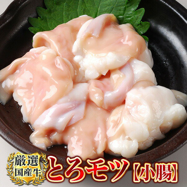 【 5/9-5/16限定　30％OFF★ 】小腸 肉 ホルモン 鍋 宮崎県産 黒毛和牛 大とろ 小腸 100g×3パック 計300g もつ煮 どて煮 【小300】