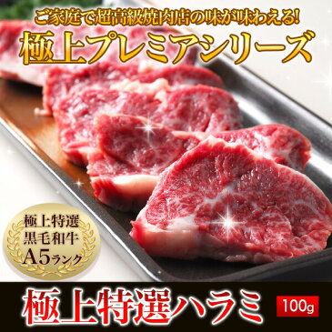 超 プレミア 限定品 鹿児島黒牛 A5 最高ランク 黒毛和牛 極上 特選 ハラミ 100g 塩こしょう付 バーベキューセット 肉 セット BBQ 和牛ハラミ お歳暮 贈答品 贈答肉 牛ハラミ 焼き肉 焼肉 出産祝い 内祝い 結婚祝い ギフト 和牛 肉 牛肉 ハラミ 国産 クリスマス