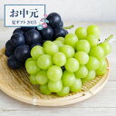 【お中元限定】ぶどう詰合せ【送料無料】<熨斗無料! 果物セット 季節のフルーツ プレゼント ギフト お取り寄せ ぶどう シャインマスカット ニューピオーネ 食べ...