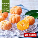 【産地直送】小林果園 甘みぎゅっと凍らせ蜜柑【送料無料】<熨斗無料! グルメ ギフト 冷凍みかん スイーツ デザート 果物 フルーツ 愛媛>