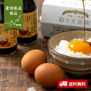 【産地直送】吉田ふるさと村 卵かけご飯セット【送料無料】<熨斗無料! グルメ ギフト 島根 ごはんのおとも おたまはん こしひかり 彩り天祐卵>