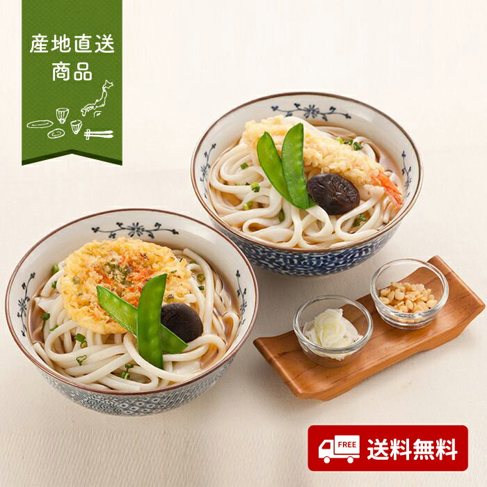 【産地直送】手延べ讃岐うどん詰合せ(牛肉うどん入り)【送料無料】<熨斗無料! グルメ ギフト 香川 めん類 ご当地麺 きつね かき揚げ えび天 牛肉>
