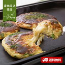 【産地直送】京都どんぐり 京野菜の入った京風お好み焼【送料無料】<熨斗無料! グルメ ギフト 豚玉 いか もちチーズ 九条ねぎ ソース かつお節>