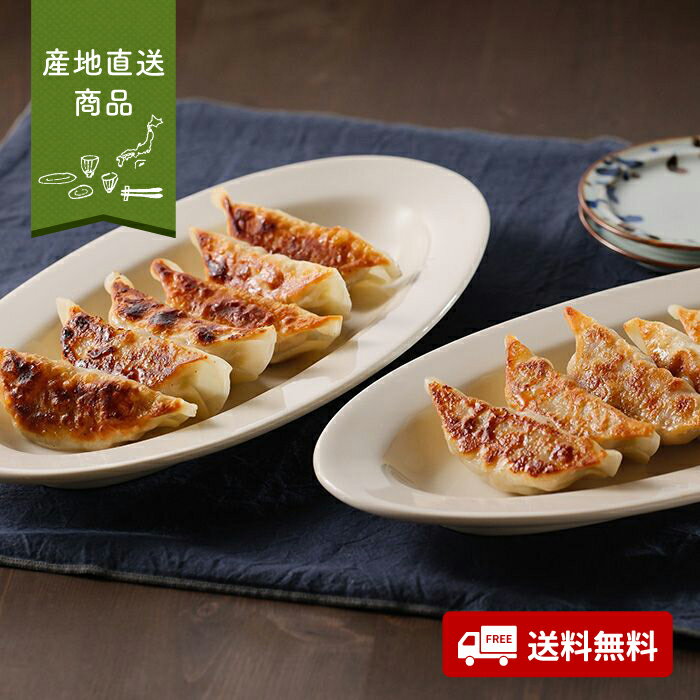 【産地直送】土佐を包む　お山の餃子（野菜・生姜）【送料無料】＜熨斗無料！ グルメ ギフト 惣菜 ギョーザ 各12個入 高知 食べ比べ＞