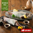 【産地直送】いかの食べ比べセット【送料無料】<熨斗無料! グルメ ギフト 剣先いか 活き造り スルメイカ 姿造り 呼子 佐賀 刺身 下足 耳 天ぷら用>