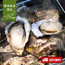 【産地直送】広島牡蠣のカンカン焼き【送料無料】<熨斗無料! グルメ ギフト 海鮮 かき 冷凍 殻付 軍手 ナイフ付>
