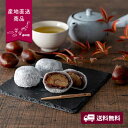 【産地直送】新杵堂 まるごと渋皮栗大福 6個【送料無料】<熨斗無料! グルメ ギフト スイーツ デザート 栗 大福 大粒 こしあん>