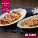 【産地直送】土佐を包む お山の餃子(野菜・生姜)【送料無料】<熨斗無料! グルメ ギフト 中華 餃子 野菜餃子 生姜餃子 お手軽>
