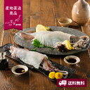 【産地直送】いかの食べ比べセット【送料無料】<熨斗無料! グルメ ギフト イカ スルメイカ>