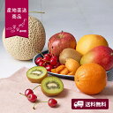 【産地直送】季節の果実アソート B【送料無料】<熨斗無料! グルメ ギフト フルーツ おまかせ>