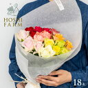 ホシファーム フレッシュブーケ カラフル18本【送料無料】<メッセージカード無料!オリジナルメッセージ可! 花 ギフト バラ 薔薇 ローズ 花束 ミックスカラー...