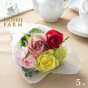 ホシファーム プチギフトシリーズ 摘みたて薔薇のブーケ カラフル5本【送料無料】<メッセージカード無料!オリジナルメッセージ可! 花 ギフト バラ ローズ 花束...