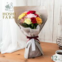 ホシファーム 届いた姿でそのまま飾れるスタンディング薔薇ブーケ カラフル12本【送料無料】<熨斗・メッセージカード無料! 花 ギフト バラ ローズ 花束 ミック...