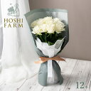 ホシファーム 届いた姿でそのまま飾れるスタンディング薔薇ブーケ ピュア12本【送料無料】<熨斗・メッセージカード無料! 花 ギフト バラ ローズ 花束 白 アバ...