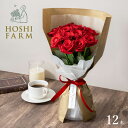ホシファーム 届いた姿でそのまま飾れるスタンディング薔薇ブーケ ルージュ12本【送料無料】<熨斗・メッセージカード無料! 花 ギフト バラ ローズ 花束 赤 深紅 サムライ>
