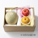 ホシフルーツ おまかせ旬のフルーツBOX B【送料無料】<メッセージカード・熨斗無料! プレゼント ギフト お取り寄せ 果物セット 贈答用 季節のフルーツをお届...