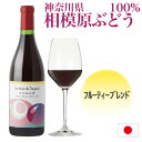 神奈川県産ぶどう使用 さがみの夢 フルーティーブレンド 2016 720ml 日本ワイン 国産ワイン アルコール分12.5% 甘口