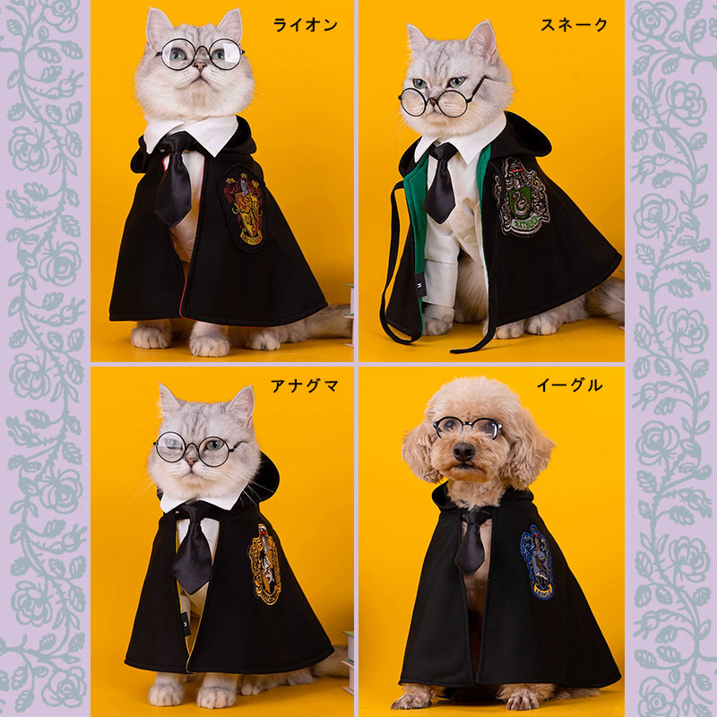 ̵ۥץϥ꡼ݥåˡر饤󥹥͡ʥޥޥȥᥬʹͥѡƥ٥ȤФץ쥼ȿ͵襤̿Ǥɥåڥåȥ