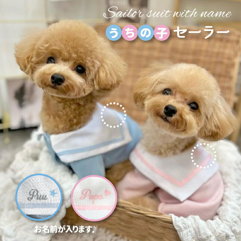 ̵۸ɥåݥåȥåХå꡼ХåȡȥХåХåХХåۥ饤󷿤Фι԰åѡӽФɻߴФ⤷å̿̿Ǥ̵ץ쥼Ȥ襤