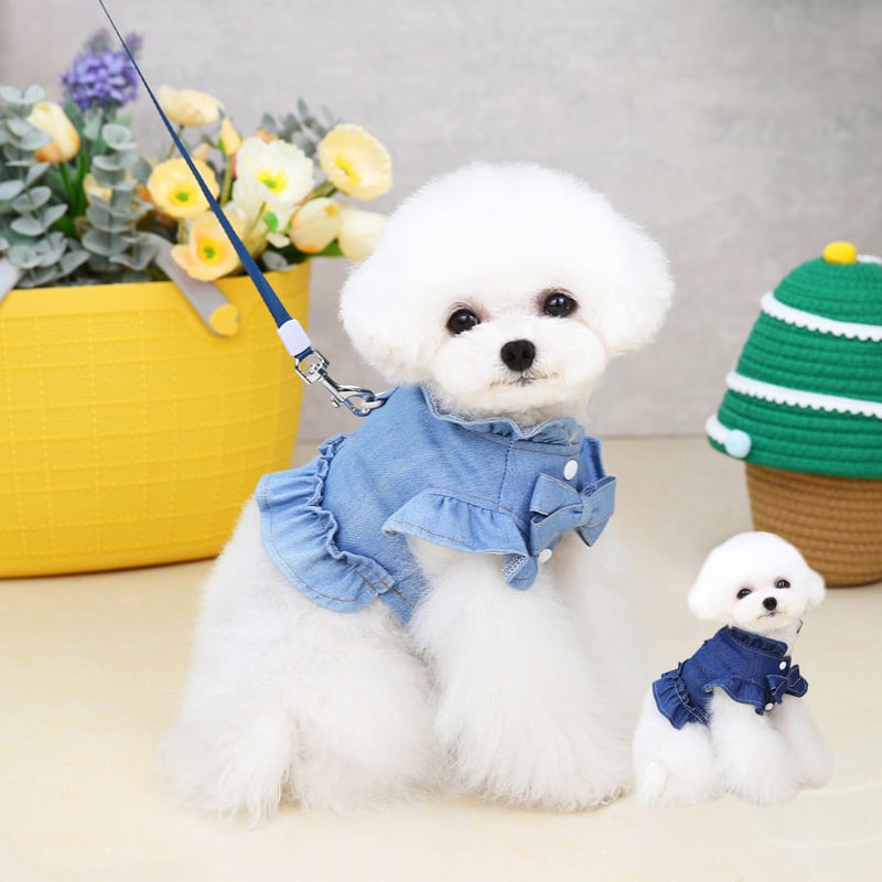 ̵ۥǥ˥ϡͥեܥĳӥԡܥեܥ󥬡꡼եߥ˥֥롼ͥӡ奢뤪Фץ쥼ȿ͵襤̿Ǥɥåڥåȥ