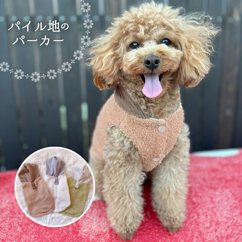 ̵ۥѡաɥѥϥϤͥ顼΢ӽսߥաǥФץ쥼ȿ͵襤̿Ǥɥåڥåȥ