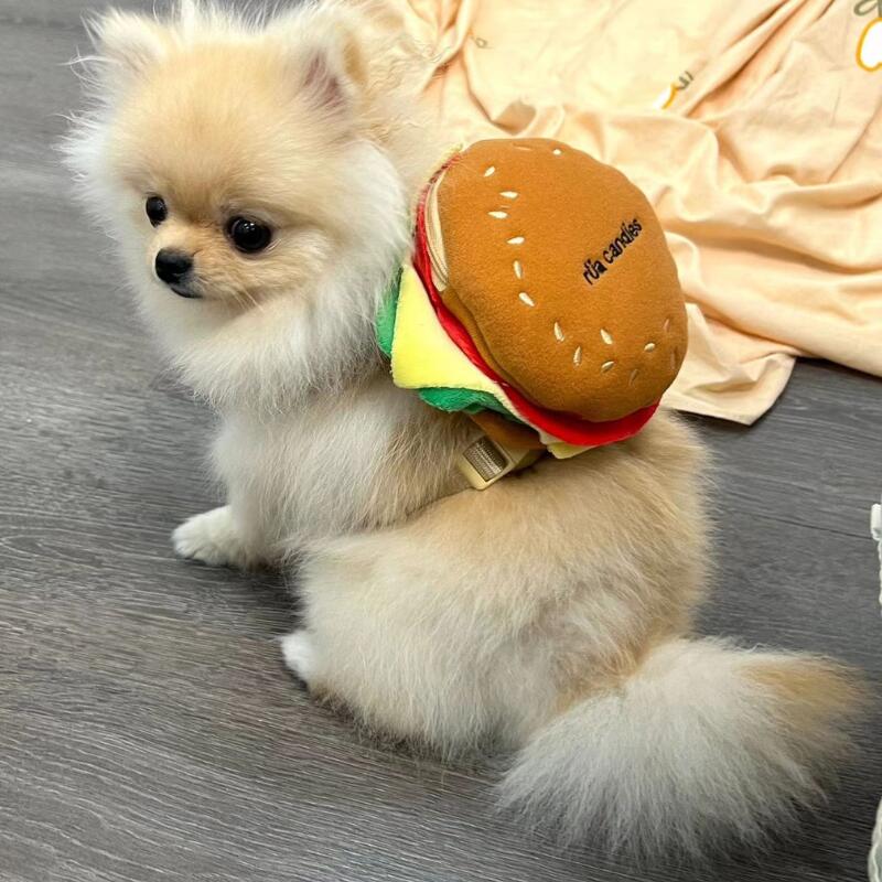 ̵۸ɥåФϡͥϡͥåϡͥ&꡼ɥХåѥå꡼դϡͥåڥåȥåϥСñĴĤ⤷å̿̿Ǥ̵ץ쥼Ȥ襤