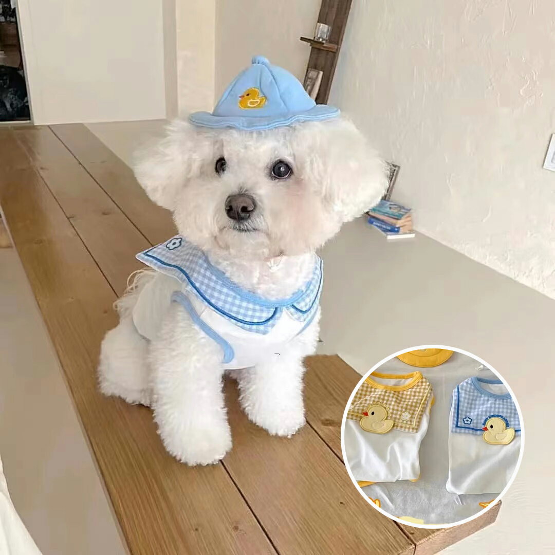 ̵ۥ󥯥ȥåץ顼ҥ륢åץꥱ󥬥åձݰĻҶʥåȥ̵奢뤪·Фץ쥼ȿ͵襤̿Ǥɥåڥåȥ