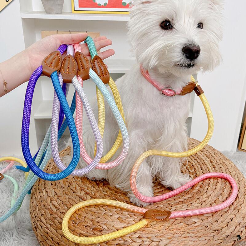 ̵ۥåץ꡼ɥǡ󥫥ե뤪إ꡼ɰη륤󤪻״ñ她饤ɸɥåФ̿̿Ǥ̵ץ쥼Ȥ襤