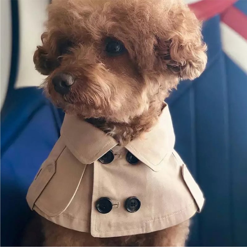 ̵۸ԡߥХ롼󤫤ܤɥåȿ̽ŤեΥȡ󥳥åȥʽղƽ̵ڹ󥸥ɥå̵奢뾮ڥåȥץ쥼ȿ͵襤