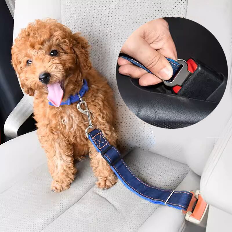 ̵۸ԡߥХ롼󤫤ܤɥåȿ̽ŤեΥȡ󥳥åȥʽղƽ̵ڹ󥸥ɥå̵奢뾮ڥåȥץ쥼ȿ͵襤