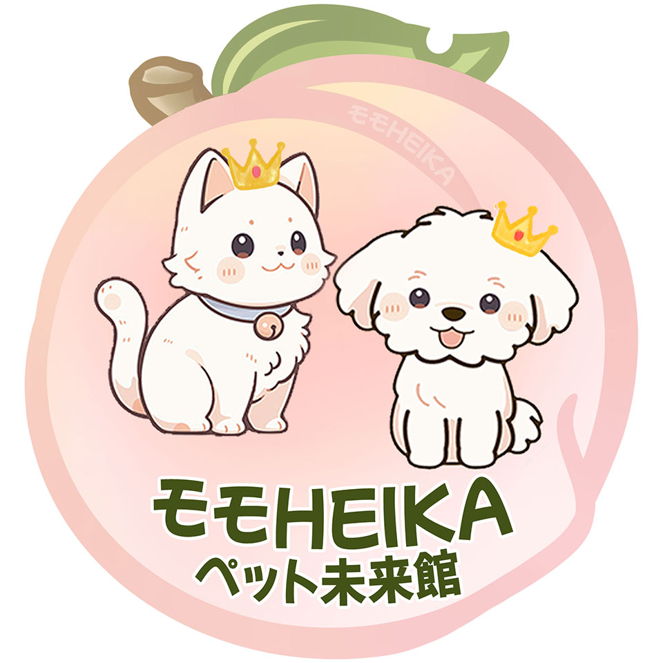Shop icon