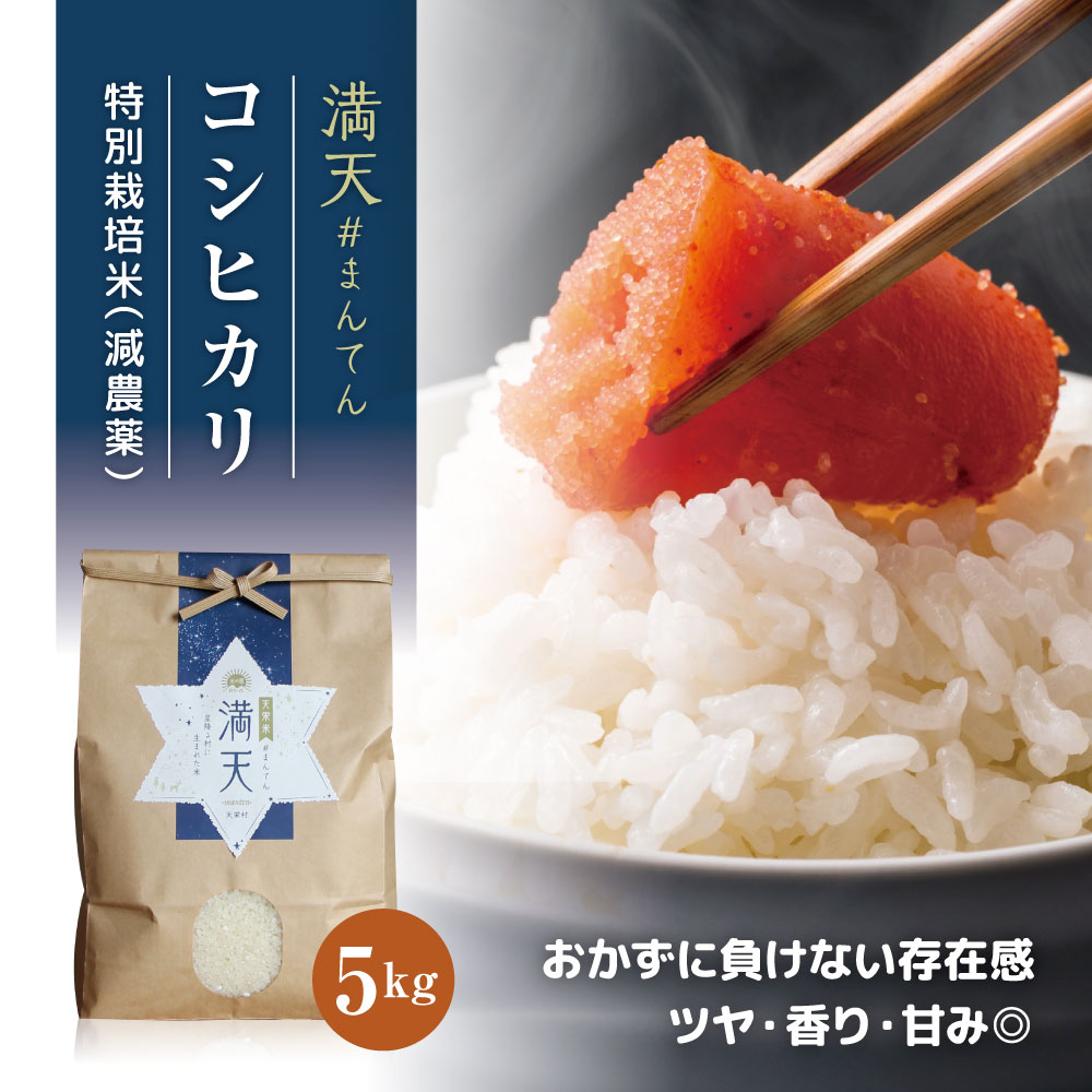 【産地直送】満天 #まんてん こしひかり 5kg 送料無料 /白米 福島 令和5年 天栄米 減農薬 米 5キロ 2023年産 安心安全 お米 お取り寄せ 母の日 父の日 入学祝 就職祝 新生活 贈り物 プレゼント ギフト 祝い 入学内祝 お返し 返礼品 粗品