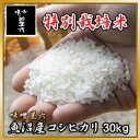 誰もが認めるその米は甘く、香り高く、気品にあふれて力強い、日本の頂点に君臨し続けるお米です。【送料無料】平成22年産 魚沼産コシヒカリ 特別栽培米 30kg(10kg×3) / 【smtb-TK】 【米/お米/国産/新潟産/魚沼産/コシヒカリ/こしひかり/通販/ランキング】02P20Dec11新潟