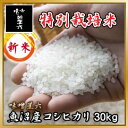 誰もが認めるその米は甘く、香り高く、気品にあふれて力強い、日本の頂点に君臨し続けるお米です。新米入荷!放射能検査済み 【送料無料】平成23年産 魚沼産コシヒカリ 特別栽培米 30kg(10kg×3) / 【smtb-TK】 [ 【米/お米/国産/新潟産/魚沼産/コシヒカリ/こしひかり/通販/ランキング】02P20Dec11新潟
