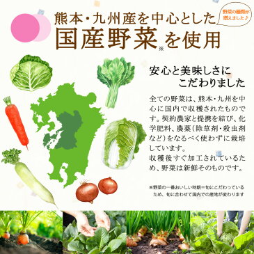 乾燥野菜ミックス 120g【1000円ポッキリ】【メール便 送料無料】≪乾燥野菜 (白菜 人参 キャベツ 大根 玉ねぎ 小松菜の贅沢6種)合計3個セット(40g×3袋)≫簡単便利♪お味噌汁の具【国産野菜使用】カップ麺 サラダ 炊き込みご飯に【保存食 非常食】九州老舗みそ醤油屋ホシサン