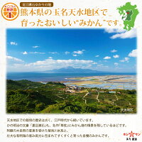 熊本県玉名市天水地区産のみかん