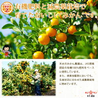 減農薬栽培と有機肥料で育てました