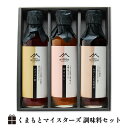 調味料ギフト【くまもとマイスターズ 調味料セット】あまくち生姜醤油 鯛白だし ゆずポン酢 3本セット【九州熊本の老舗みそ醤油屋ホシサン】御中元 内祝い プチギフト【醤油ギフト】お歳暮 御歳暮