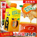 ポン酢【送料無料(込み)】≪九州 熊本特産 デコポン！火の国ぽん酢 310ml くまモンパッケージ≫デコポン果汁たっぷり高級ポン酢！冷しゃぶに絶品♪生醤油をブレンドした極上のまろやかさ♪【保存料不使用】ドレッシング 九州の老舗みそ醤油屋ホシサン【家事ヤロウ 紹介商品】 2