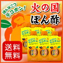 ポン酢【送料無料】≪デコポン！火の国ぽん酢 310ml×1ケース(6本入)≫デコポン果汁たっぷり♪【保存料不使用】匠の技が光る！伝統の生醤油と熊本特産デコポン果汁を贅沢ブレンド♪極上のまろやかさ【ケース買い】【まとめ買い】九州熊本の老舗みそ醤油屋ホシサン 家事ヤロウ 2