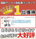 【プレゼント付】＼楽天1位／ 電動自転車 折りたたみ 20インチ 軽量 【型式認定済】 電動アシスト自転車 ERWAY A02 8段変速 免許不要 130KM走行可能 電気自転車 電動 自転車 5段階アシスト搭載 通勤 通学 電動バイク ebike eバイク クリスマス 新年 プレゼント 3