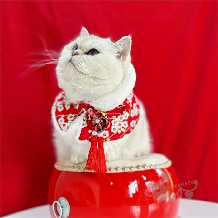 猫用 スカーフ 唾液タオル ペット ショール ネックスカーフ 新年 ペット服 可愛い ...