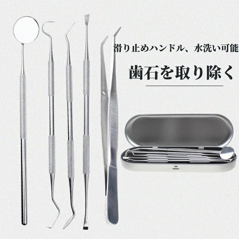星STARの犬用スケーラー 歯石除去 歯石取り 器具 ペット 歯磨き 犬(猫) わんちゃん 口腔ケア 両頭タイプ フラットタイプ 鉤形(鎌形)タイプ5本セット｜アングル2