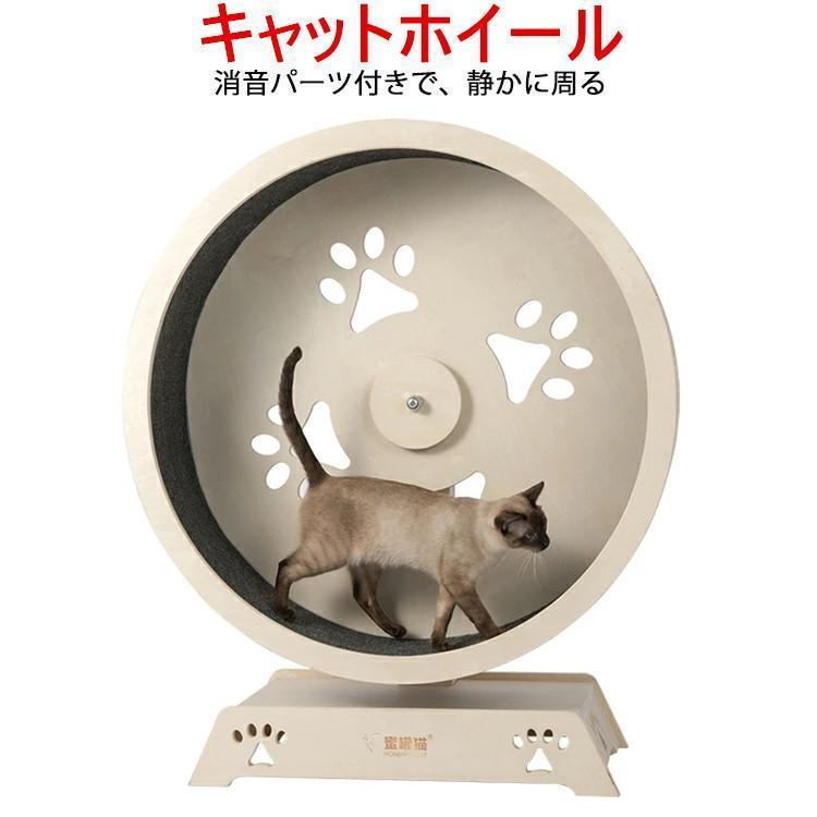 Tunnel - キャットホイール ローラーキャット ランニングホイール 無垢材 ルームランナー ストレス発散 おもちゃ 猫のトレッドミル 猫の回し車 観覧車 猫研削爪