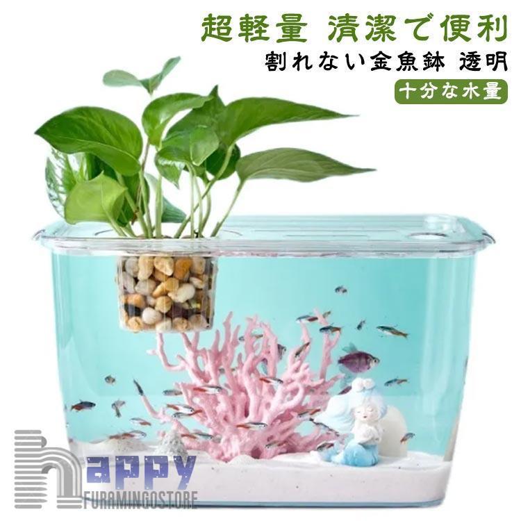 p1029321b6ae_1.jpg