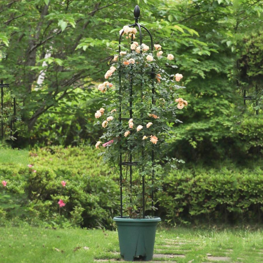 スモールオベリスク 径31.7cm 花 園芸用品 バラ 薔薇 オベリスクアーチ プランター...