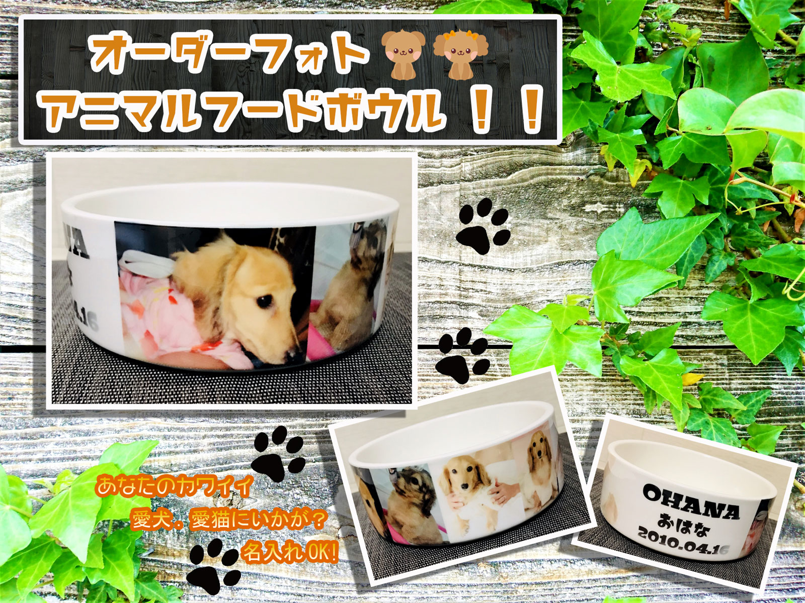LINEで簡単【名入れ 写真入り フードボウル】ギフト プレゼント インテリア オリジナル 誕生日 お祝い 記念日 ペット 犬 猫 ご飯皿 犬の写真 猫の写真 写真 オーダー フードボウル フード皿 ペット皿 お皿 器 フード器 ペット写真 名前 名前入り 名前入れ 写真入れのサムネイル