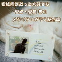LINEで簡単【名入れ 写真入り メモリアルガラスフレーム】 ペット 犬 わんちゃん 猫 にゃんちゃん メモリアル メモリアルグッズ フォトフレーム 肉球 ガラ...