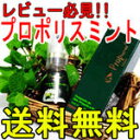 レビュー書いたら定形外郵便【送料無料】プロポリススプレーミント味(20ml)【花粉対策】【ブラジル　プロポリス】【プロポリス】【プロポリススプレー】【RCP】05P08Feb15